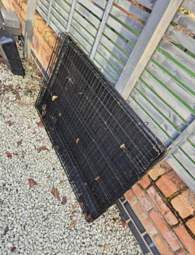 Dog crate good - dog, condition