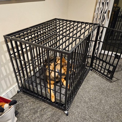 Indestructible heavy duty dog - heavy,