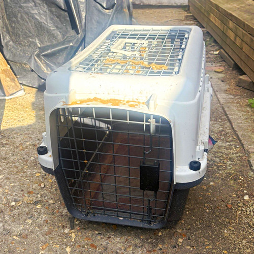 Hard sided plastic pet - hard-sided,
