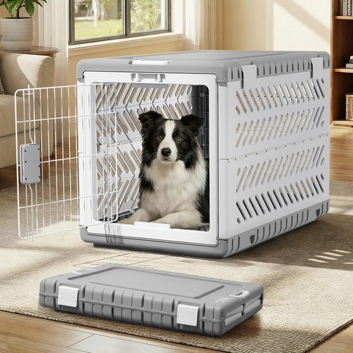Collapsible dog crate - dog,