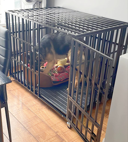 Heavy duty dog crate large - duty,