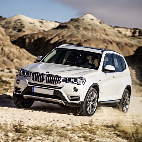 Bmw suv dog crate - dog, boot