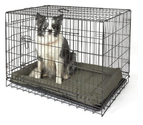 Double door dog crate - dog,