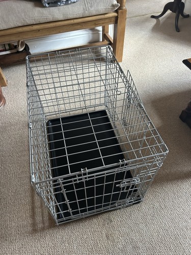 Pets home dog - pets, small