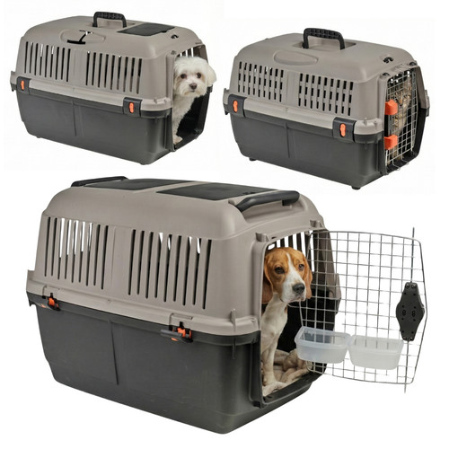 Iata approved dog cat pet - dog,