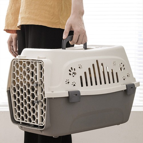 Large dog cat - cat, carrier