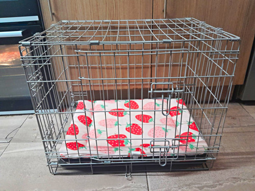 Folding steel wire - wire, dog