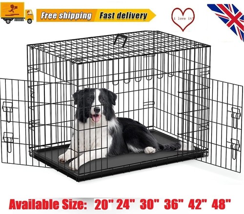 Dog cage puppy - puppy, training