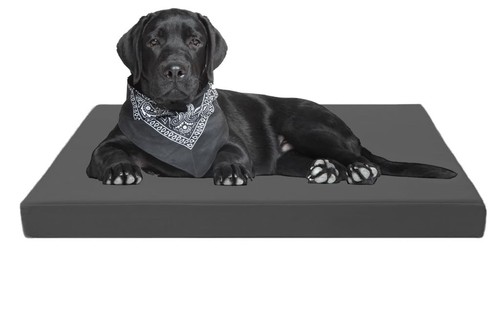 Heavy duty dog cage - dog, bed