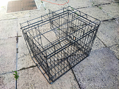 Black folding steel wire dog - folding,