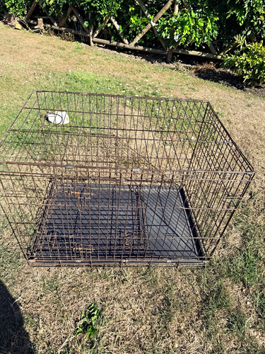 Folding steel wire dog crate - folding,