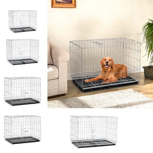 Small medium dog puppy - small,