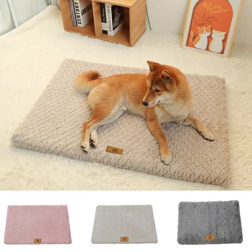 Sponge pet bed with - 3d,