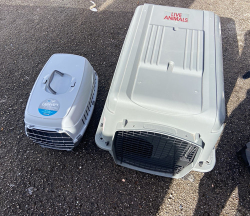 Grey plastic dog travel - travel, crate